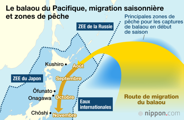 La pêche intensive du balaou ne cesse de s’accroître dans les eaux internationales avant que ce poisson n’entame sa migration vers le Sud le long du littoral japonais. Les bancs ont en outre tendance à suivre des routes situées plus au large du Japon.