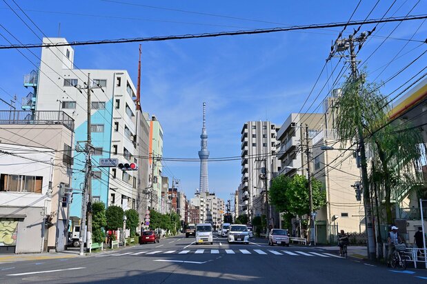 吉原大門交差点より、土手通りの待乳山方面を望む。真ん中に東京スカイツリー、右には見返り柳が見える