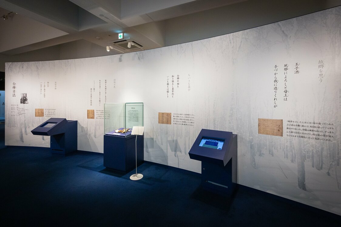 白樺日誌の展示コーナー