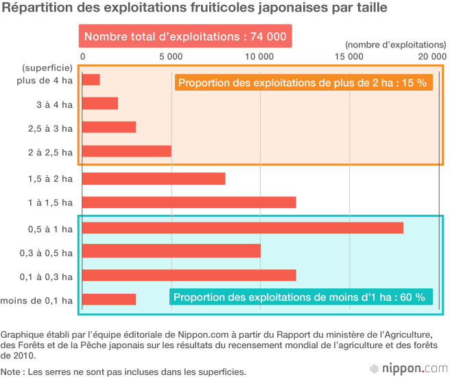 Pourquoi les fruits sont-ils hors de prix au Japon ?