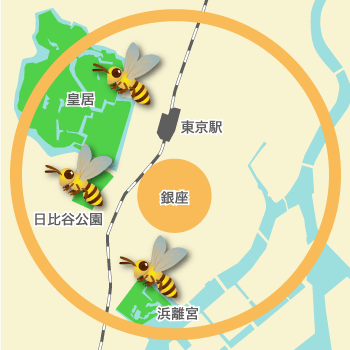銀座ミツバチの飛行範囲