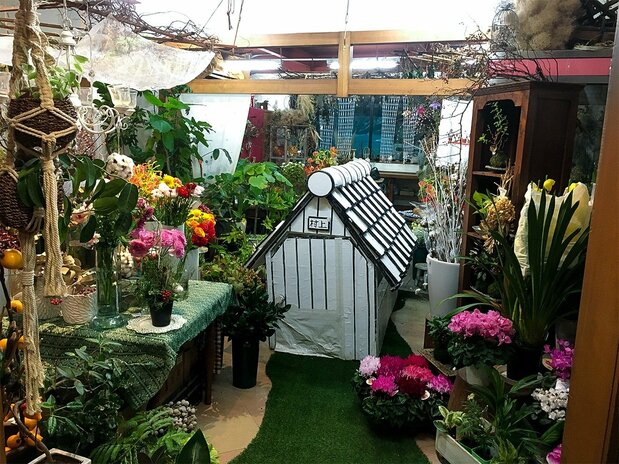石川県金沢市の花屋(2020年12月17日)