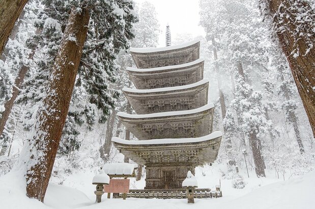 羽黒山の参道にある五重塔。東北地方最古の塔で、国宝に指定されている(PIXTA)
