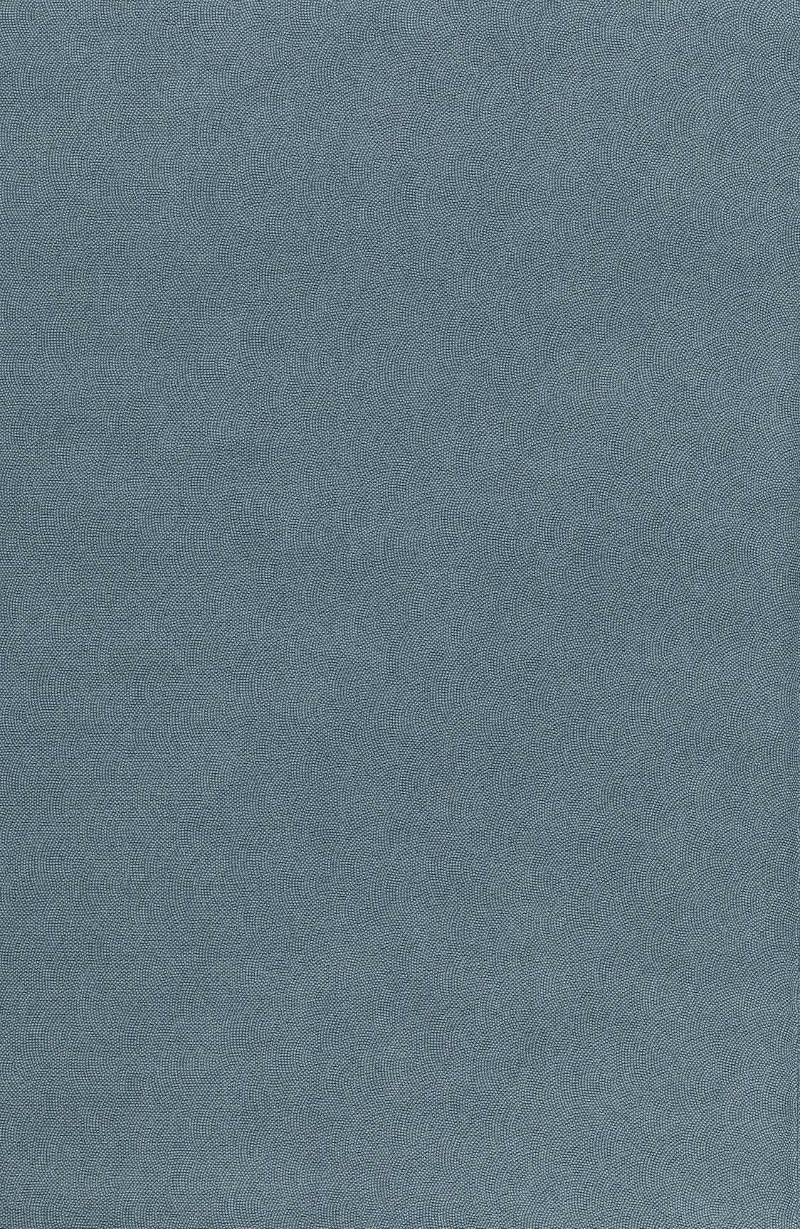 江戸小紋着物「極鮫」（第48回日本伝統工芸染織展 ）細かな点で曲線を描く「鮫」の中でも、とりわけ微細で気品がある「極鮫」に磨かれた技が光る