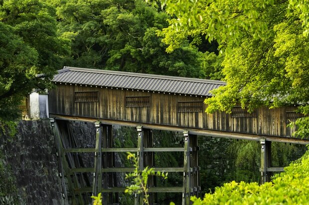 El puente cubierto Ohashirōka, perteneciente al castillo de Wakayama. (PIXTA)