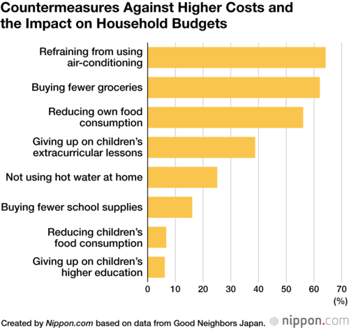 Countermeasures Against Higher Costs and the Impact on Household Budgets