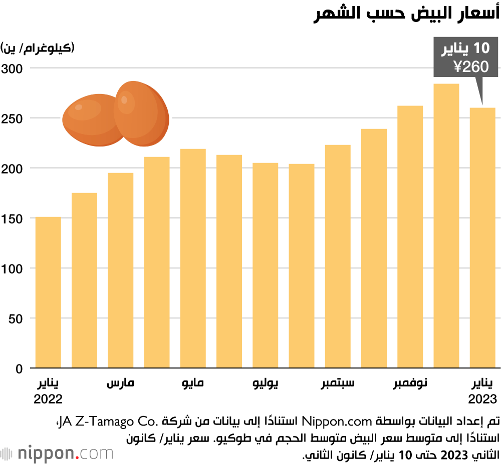 أسعار البيض حسب الشهر