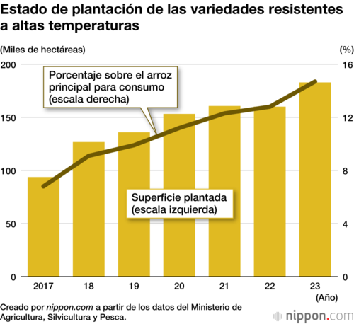 Estado de plantación de las variedades resistentes a altas temperaturas