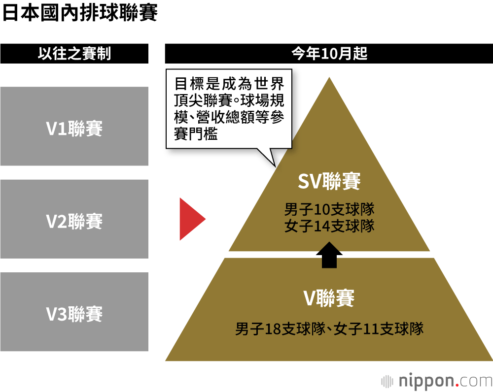 日本國內排球聯賽