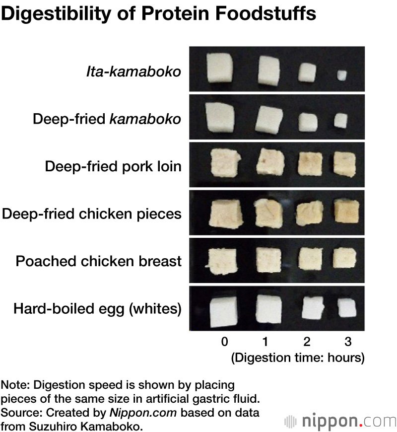 Digestibility of Protein Foodstuffs