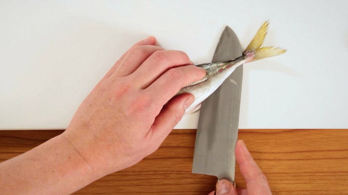 Japanese Seafood Culture: How to Fillet a Horse Mackerel