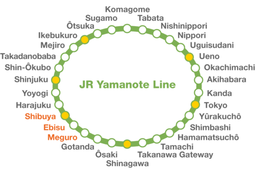 La ligne Yamanote et ses 30 gares. (Pixta)