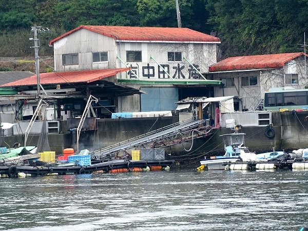 中田水產是宇和島的養殖業者(筆者攝影)