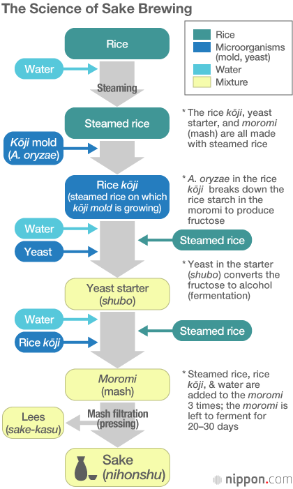 “Nihonshu” Now: How the Maker of Jikon Turned Mold into Gold