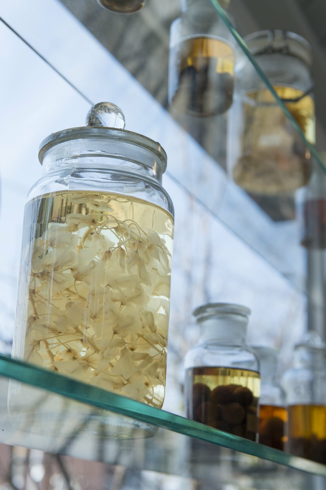 Bottles of homemade liqueur line the windows of the café.