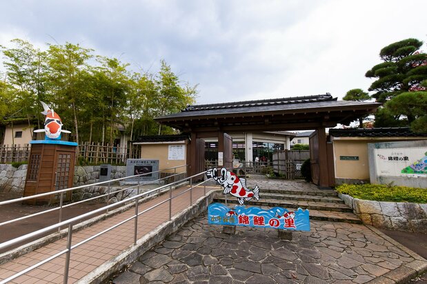 La entrada a Nishiki no Sato es de 520 yenes para adultos y 310 yenes para estudiantes de primaria y secundaria. Para llegar aquí tome un autobús en la estación Ojiya, línea JR Jōetsu y baje en la parada Sun Plaza.