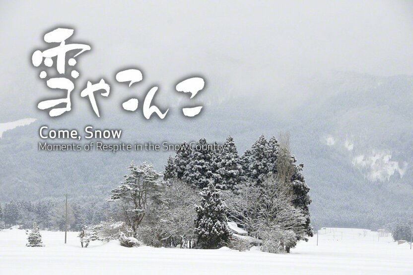 A canopy of trees shelters a house from snow and wind (Kakunodate, Semboku, Akita Prefecture)