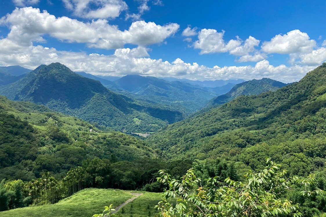 台湾の山地（筆者撮影）