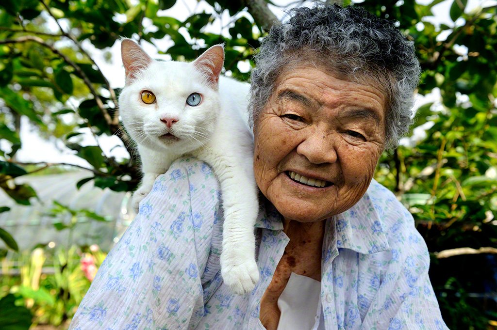 [Фото] Бабушка и кот: радость каждого дня