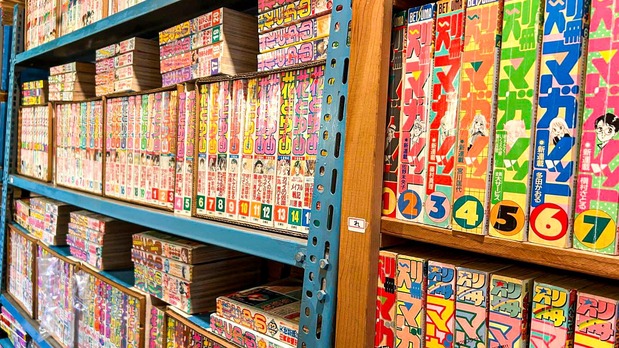 La Shōjo Manga-kan, un centro privado situado en Akiruno, Tokio, conserva 60.000 revistas de manga y otros materiales. Abre al público los sábados por la tarde.