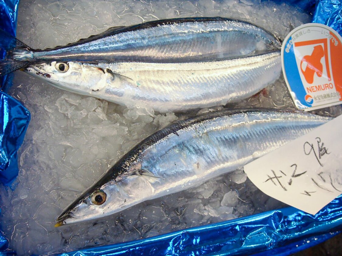 Se sabe que la paparda del Pacífico tiene más grasa si la parte posterior de la cabeza y el lomo son abultados. Estos dos ejemplares son del antiguo mercado de Tsukiji (imagen del autor).