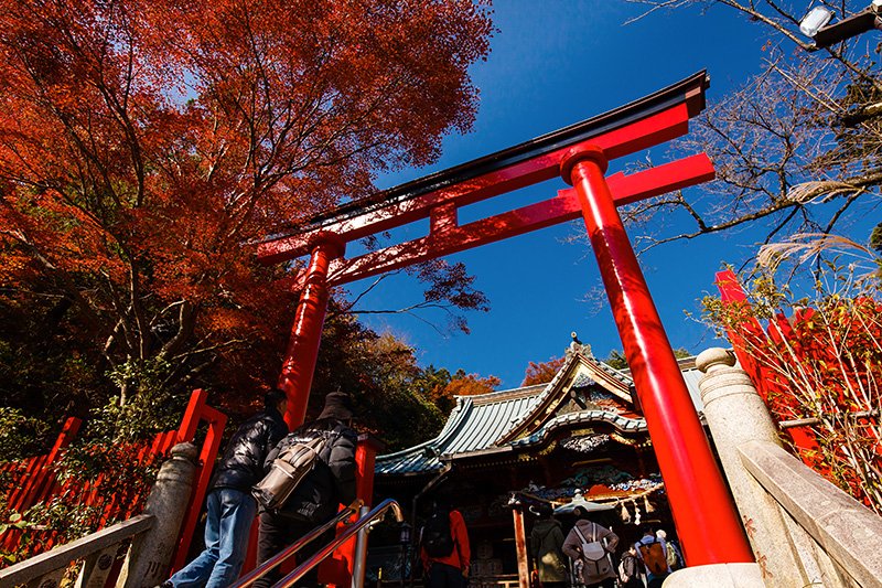 在御本社（饭绳权现堂）入口处有一个建筑，类似神社入口的牌坊“大鸟居”。这里也是观赏红叶的著名景点