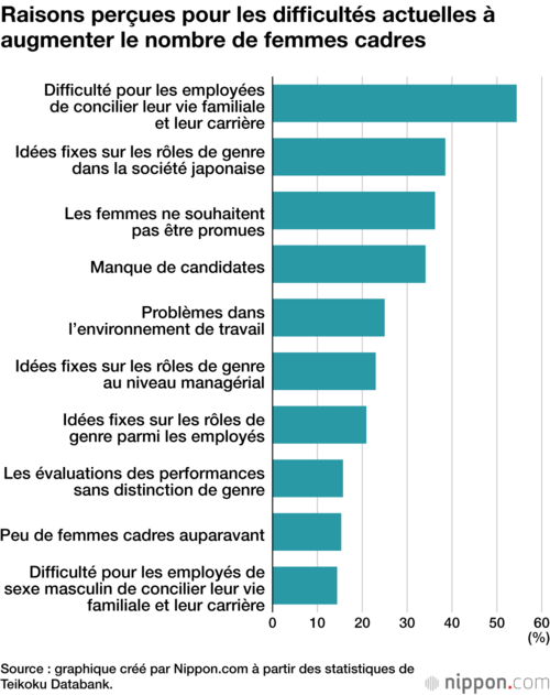 Raisons perçues pour les difficultés actuelles à augmenter le nombre de femmes cadres