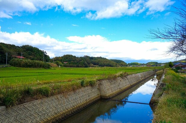 Rice paddies sit adjacent to woodlands. (© Mochida Jōji)