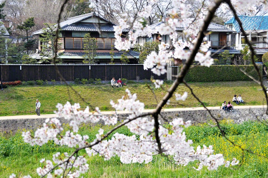 Sakyō-ku, Kyoto