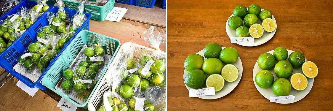Punto de venta de unos agricultores. De izquierda a derecha, lima, sudachi y kizu (imagen de nippon.com).