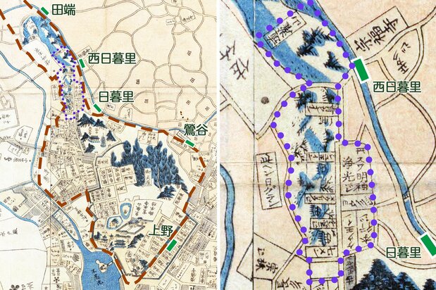『弘化改正御江戸大絵図』(1847年刊、国会図書館蔵)より。左は上野寛永寺から田端駅付近までを切り抜いた。赤い破線が高台で、緑の四角は現在のJR山手線の駅。右図の紫の点線は『江戸名所図会』の「日暮里(ひぐらしのさと)惣図」に描かれた場所。中央左に「此ヘン日グラシ」の表記が見える