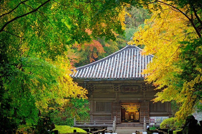 Le pavillon Sankeiden au fond de l’enceinte sacrée (Photo avec l’aimable autorisation du temple Entsû-in)