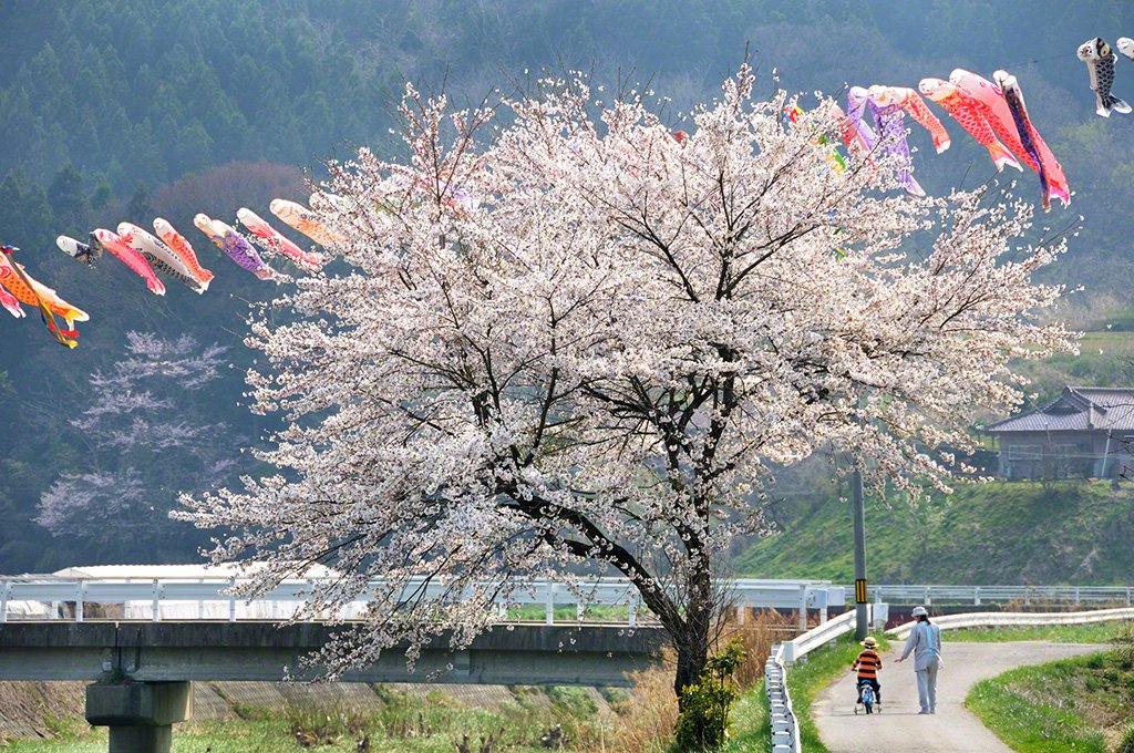Miharu-machi, Tamura-gun, Préfecture de Fukushima