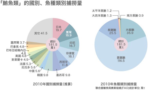 瀕臨危機的太平洋黑鮪