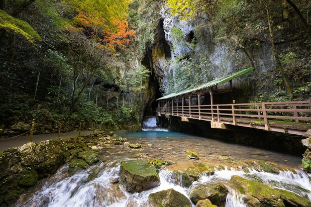 La entrada principal a la gruta Akiyoshi destaca por su belleza especialmente durante la época del otoño en la que las hojas cambian de color.