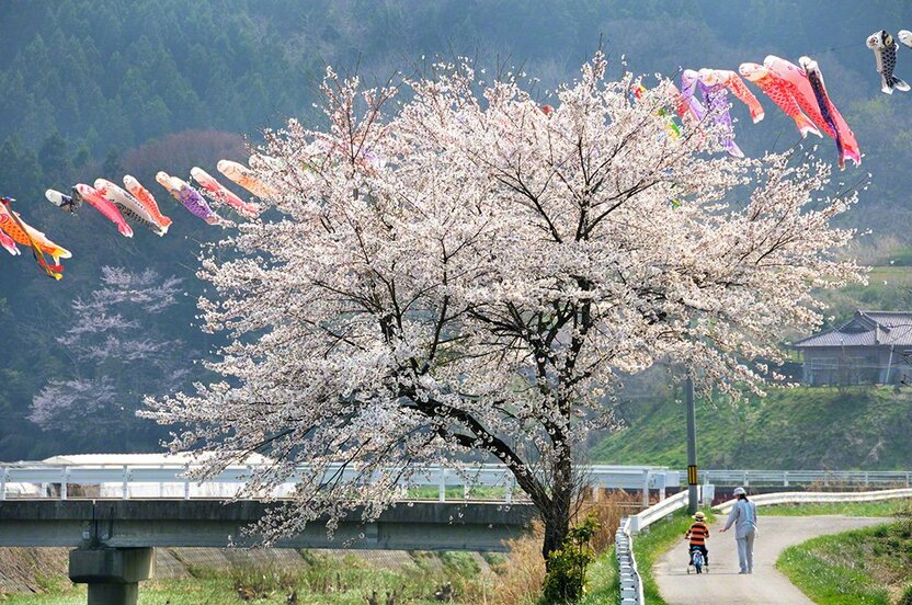 福岛县田村郡三春町
