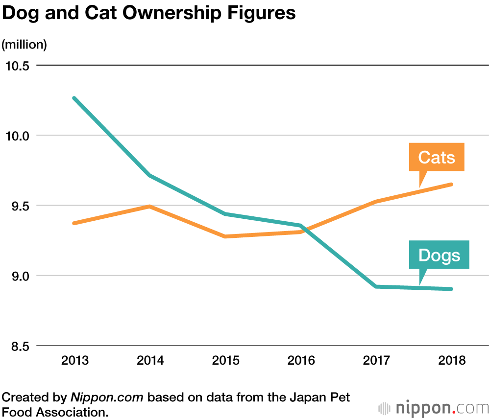 Easier Care Helps Cats Gain the Upper Paw in Japan 