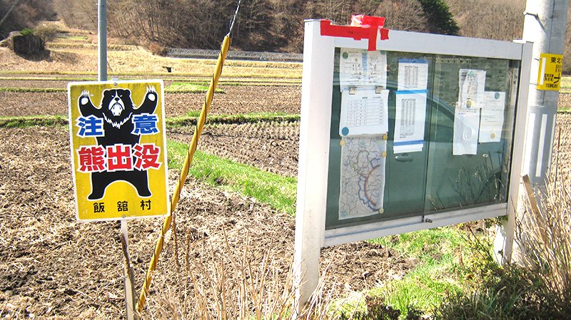 The community notice board at the Nagadoro crossroads. Attached by red tape is a plastic box containing a government Geiger counter.