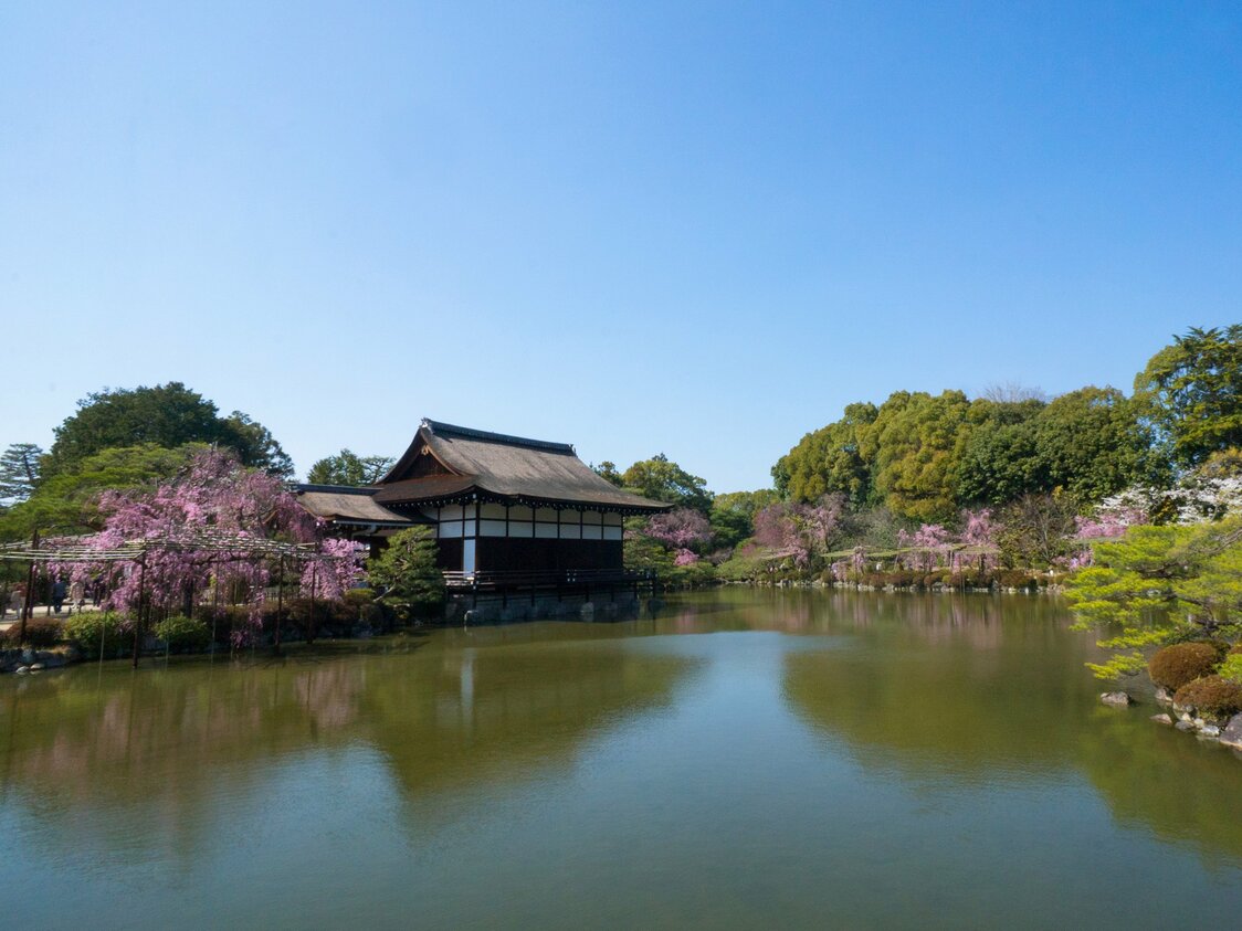 Benishidare around the Shōbikan guest house, located in the east of the shrine grounds. The cherry blossoms reflected on the water make for a gorgeous sight.