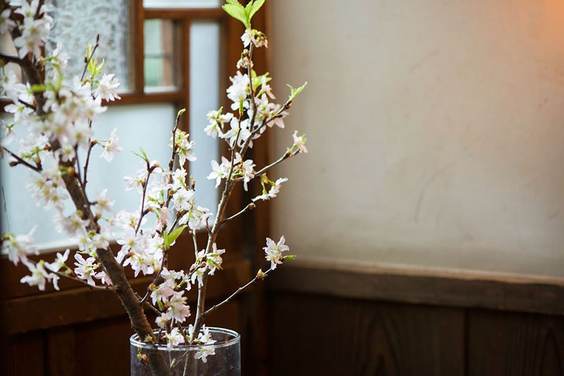 Las flores y adornos colocados en todo el albergue reflejan la sensibilidad del personal.