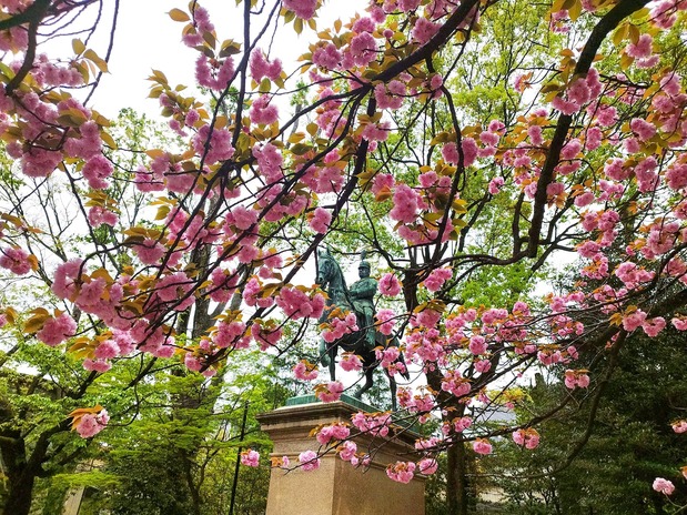 (Courtesy Arisugawa-no-Miya Memorial Park)