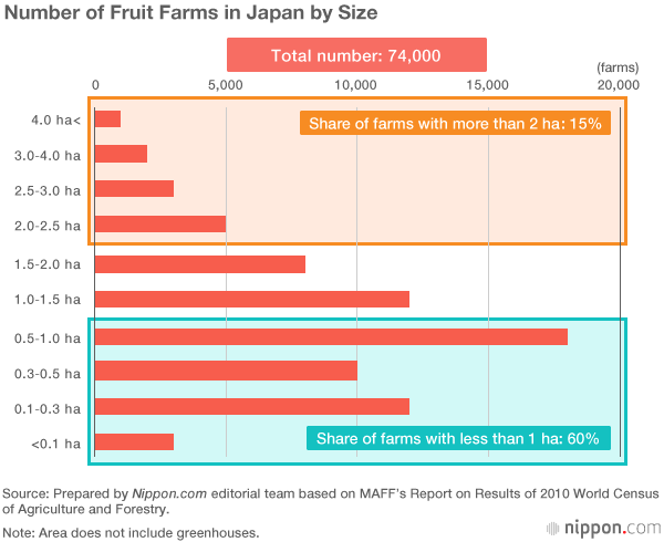 Do I Dare to Eat a Peach? Behind Japan’s Freakish Fruit Prices