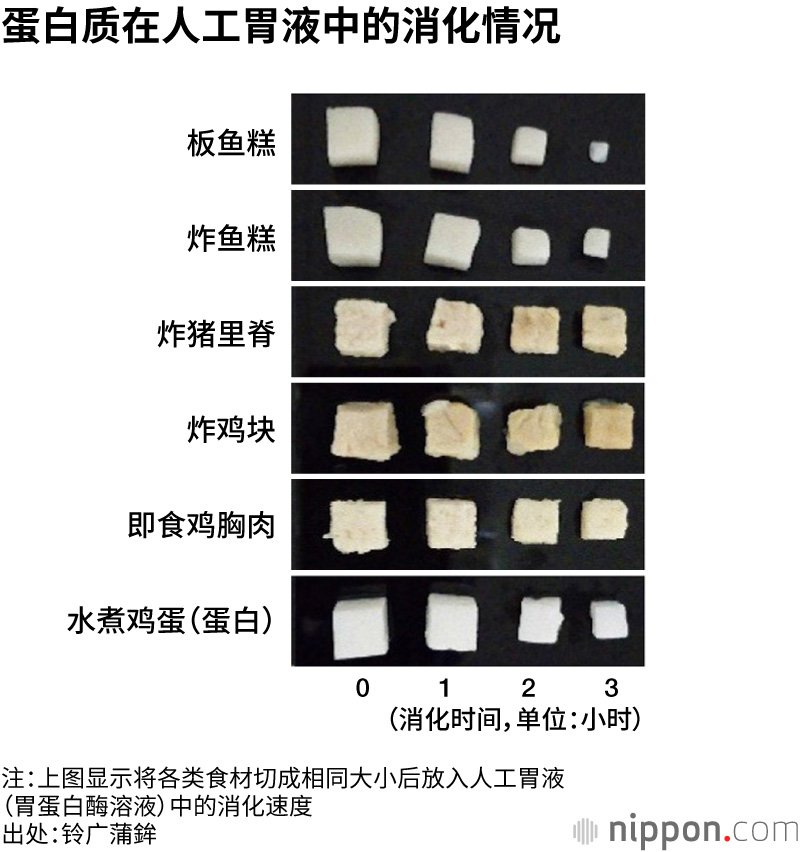 蛋白质在人工胃液中的消化情况