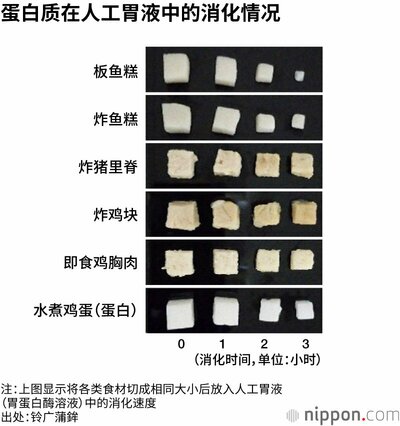 蛋白质在人工胃液中的消化情况