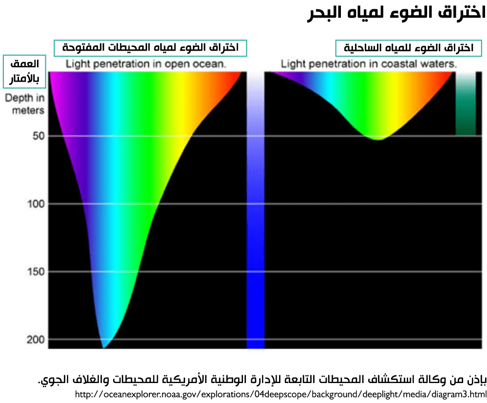 الزراعة الضوئية: التكنولوجيا اليابانية التي تزيد سرعة نمو الأسماك بشكل غير مسبوق
