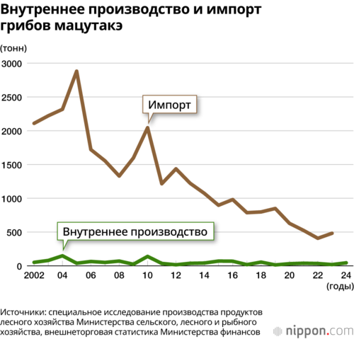 Внутреннее производство и импорт грибов мацутакэ