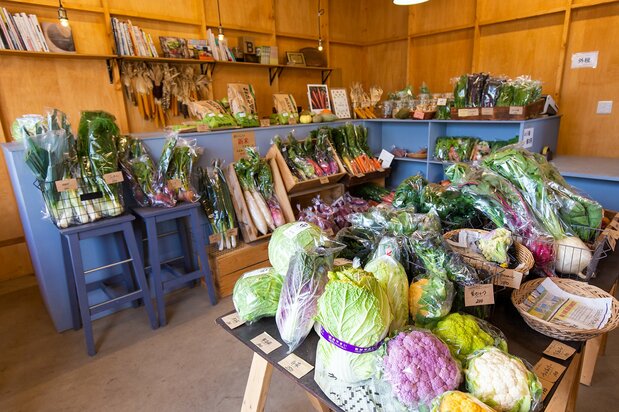 店内には郡山ブランド野菜に加え、珍しい種類の野菜がいっぱい。現在、郡山ブランド野菜は全13種類