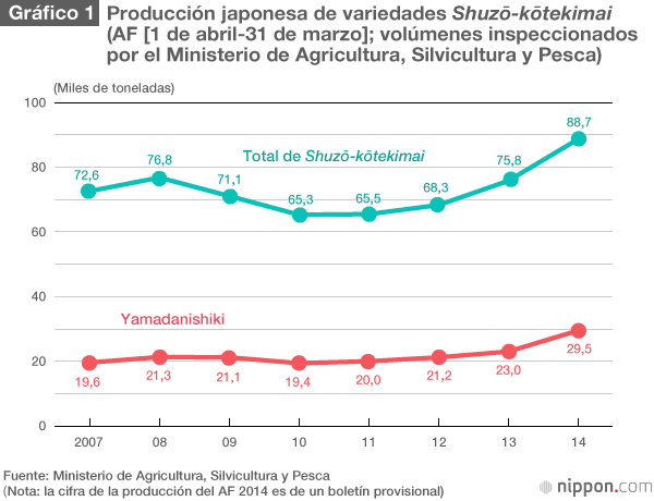 El arroz Yamadanishiki impera entre las variedades para la producción de sake