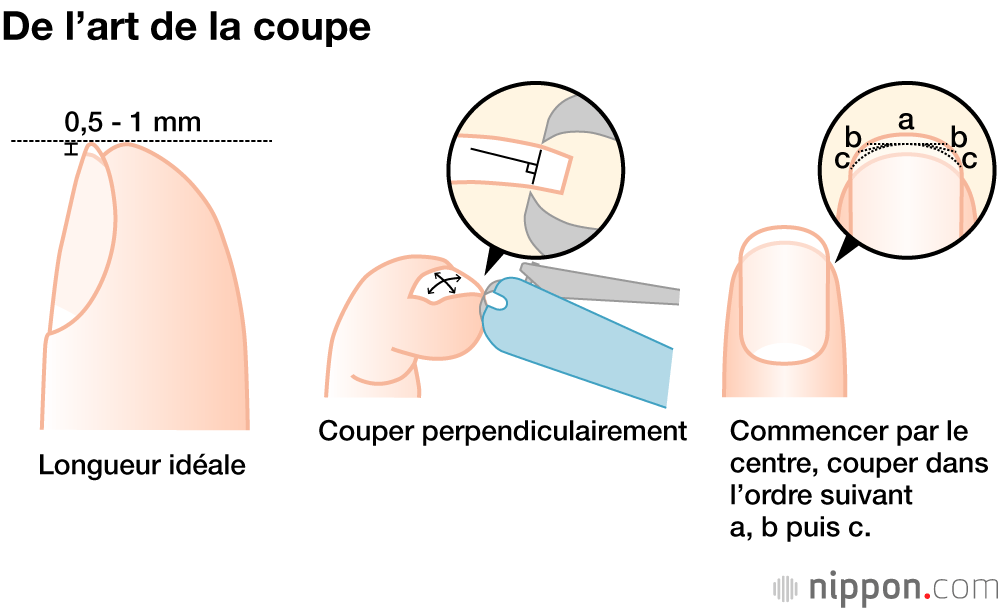 De l’art de la coupe