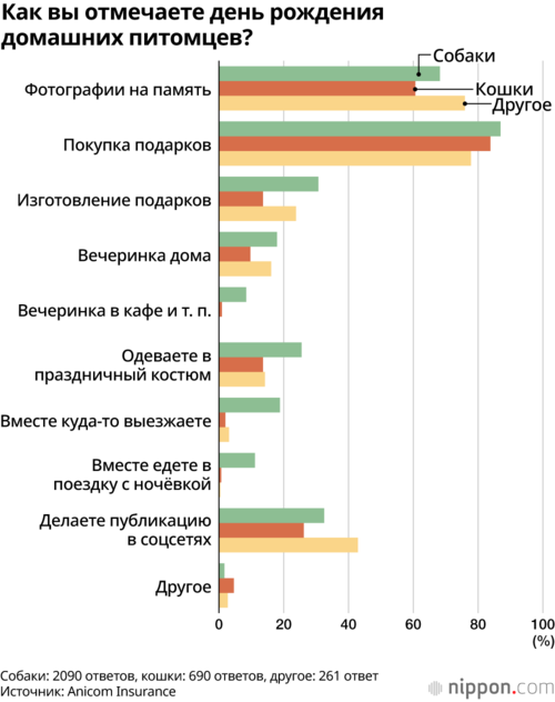 Как вы отмечаете день рождения домашних питомцев?